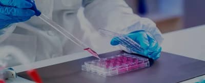 Bioscience Clinic - Stem Cell Therapy In Dubai UAE